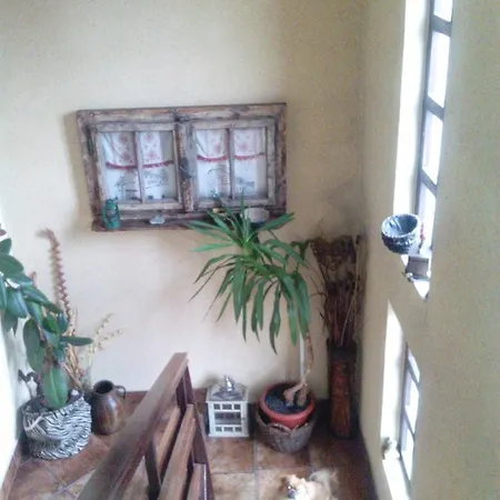 Casa de hóspedes Elma