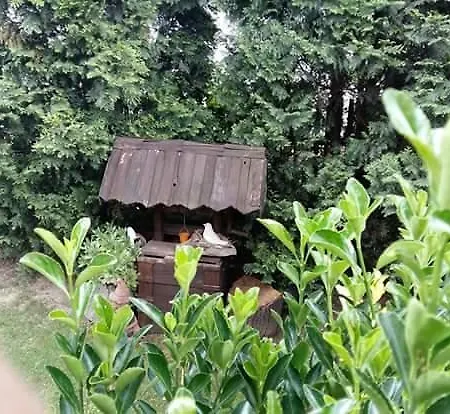 Casa de hóspedes Elma Osjek